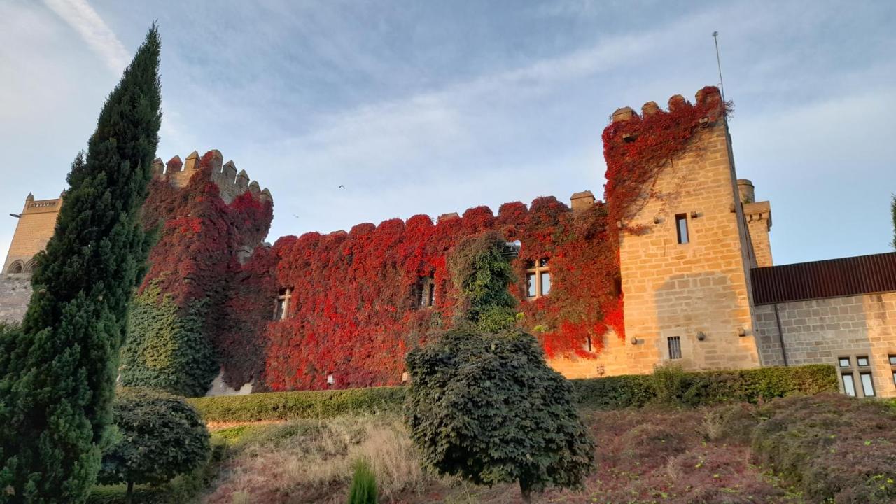 Hostal Rural Villa Vieja Olite Dış mekan fotoğraf
